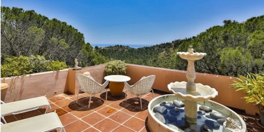 Villa for Sale in Benahavís, Málaga