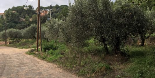 Building Plot for Sale in Barcelona